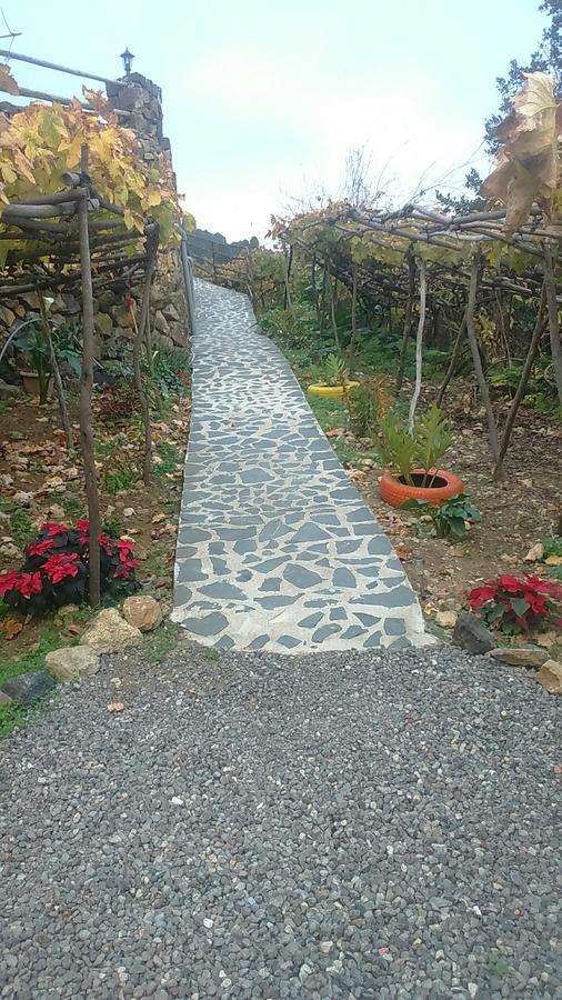 Casa Canaria La Moncloa Villa Icod De Los Vinos Kültér fotó