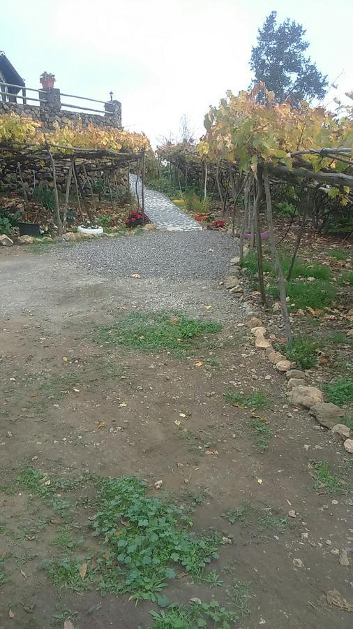 Casa Canaria La Moncloa Villa Icod De Los Vinos Kültér fotó